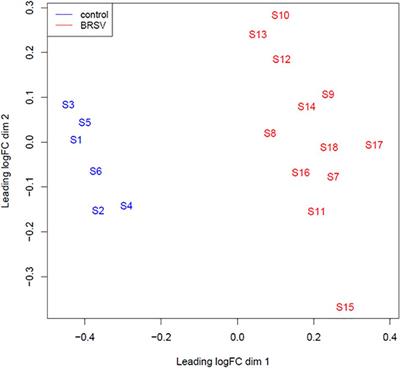 Elucidation of the Host Bronchial Lymph Node miRNA Transcriptome Response to Bovine Respiratory Syncytial Virus